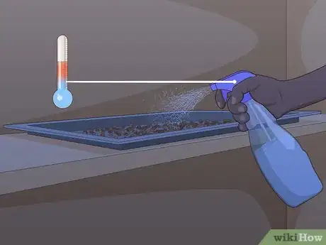 Image titled Grow Spanish Moss Step 3