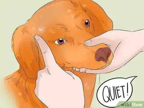 Image titled Identify and Correct Unwanted Dog Behaviors Step 11