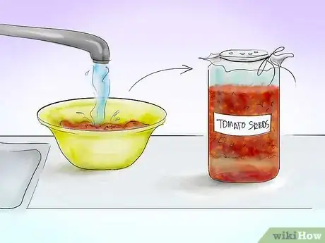 Image titled Plant Tomatoes from Seed Step 8