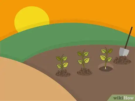 Image titled Plant Begonia Bulbs Step 06