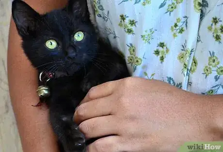 Image titled Make a Homemade Cat Spa Step 18