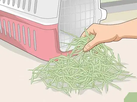 Image titled Transport a Guinea Pig Step 2