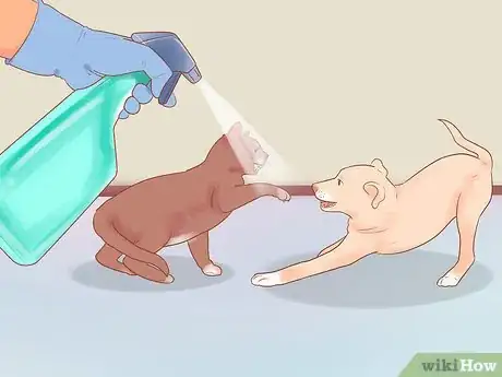 Image titled Keep a Pet When You Have Cats Step 13