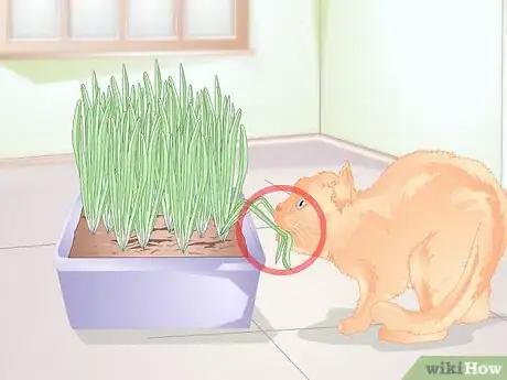 Image titled Stop Cats from Eating Indoor Plants Step 10