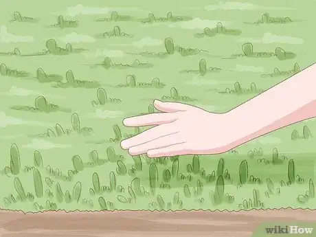 Image titled Weed Whip Fence and Curb Lines Step 4