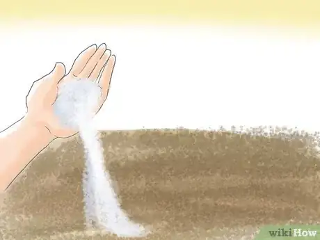 Image titled Care for a Lenton Rose Step 11