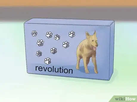 Image titled Remove Ear Mites from a Dog Step 7