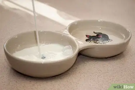 Image titled Get Along With Your Cat Step 10