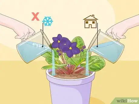 Image titled How Often Do You Water an African Violet Step 7