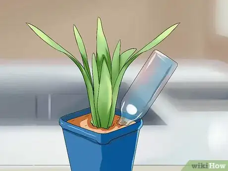 Image titled Water Plants While You're Away Step 5