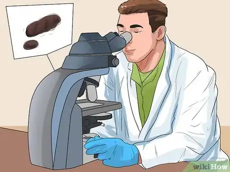 Image titled Prevent Roundworms in Dogs Step 3