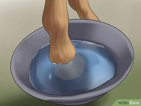 Image titled Clean and Buff a Horse's Hooves Step 3