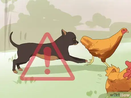 Image titled Introduce a Dog to Pet Chickens Step 17