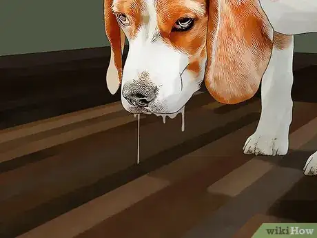 Image titled Stop Your Pets from Eating Cicadas Step 6