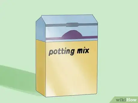 Image titled Care for Amaryllis Flowers Step 8