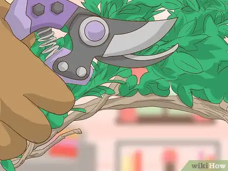 Image titled Make a Boxwood Wreath Step 5