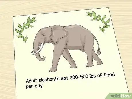 Image titled Make an Animal Fact Book Step 7