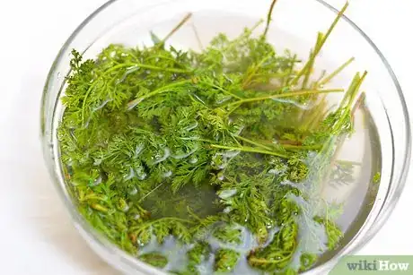 Image titled Make Carrot Top Pesto Step 5