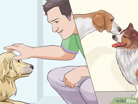 Image titled Get a Companion Dog for an Existing Dog Step 10
