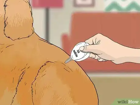 Image titled Treat Flea Bites on Dogs Step 7