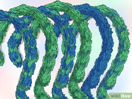 Image titled Make Gertrude Mcfuzz's Huge Tail in the Seussical Step 1Bullet2