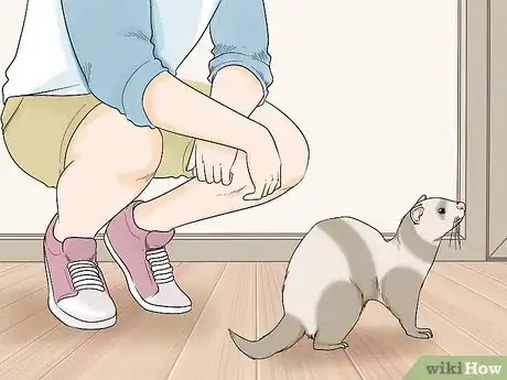 Image titled Stop a Ferret from Stealing Things Step 8