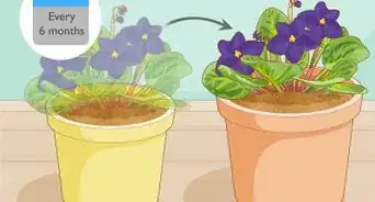 Make African Violet Soil Mix