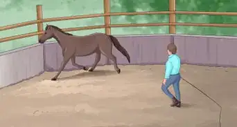 Stop a Horse That Tries to Buck