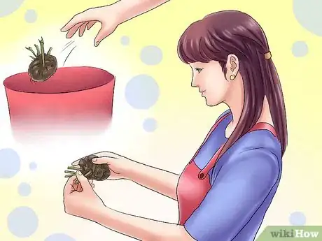 Image titled Winterize Calla Lily Bulbs Step 4