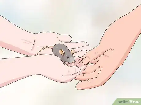 Image titled Keep Pet Mice Safe around Children Step 11
