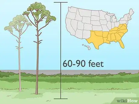 Image titled Start a Tree Farm Step 4