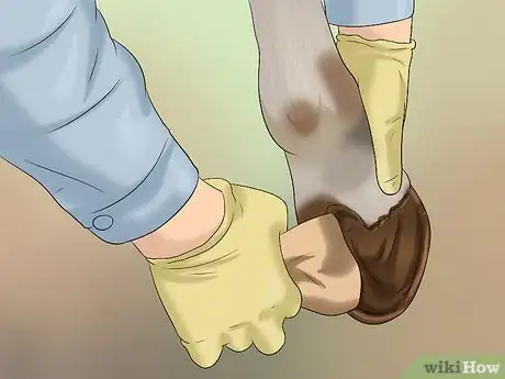 Image titled Clean and Buff a Horse's Hooves Step 2
