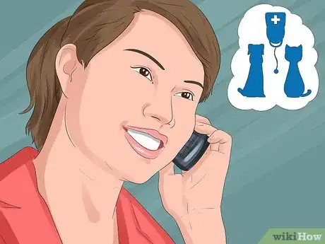 Image titled Have a Successful Visit to the Vet Step 1