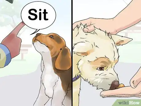 Image titled Give Your Dog a Treat Step 6