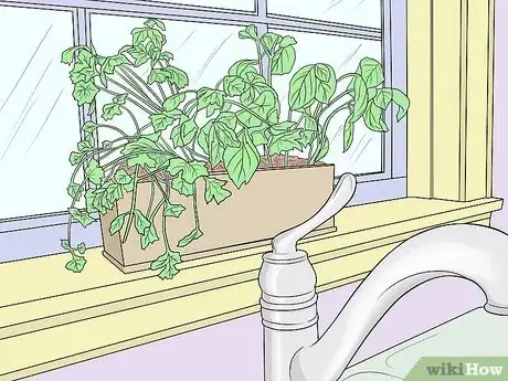 Image titled Add Natural Elements to Your Home Decor Step 9