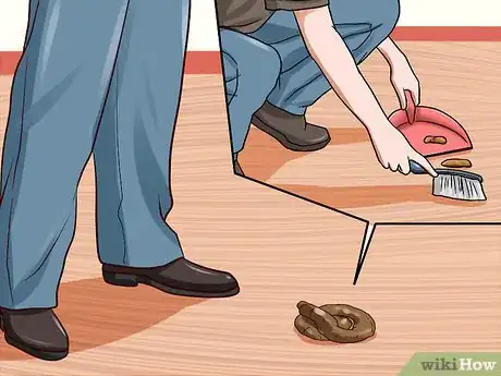 Image titled Prevent Canine Coronavirus Step 3