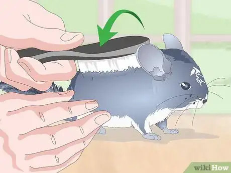 Image titled Prevent Chinchillas from Developing Hairballs Step 7