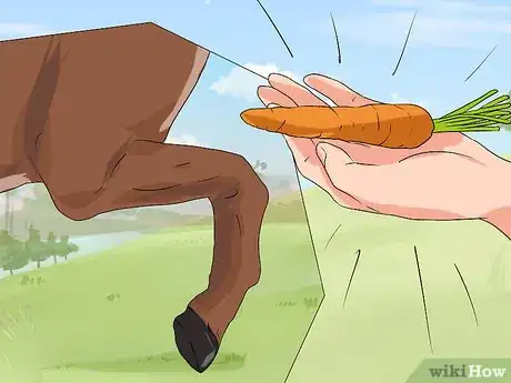 Image titled Train a Horse to Shake a Hoof Step 10