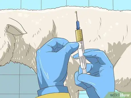 Image titled Prevent Q Fever (Coxiella Burnetii Infection) Step 7