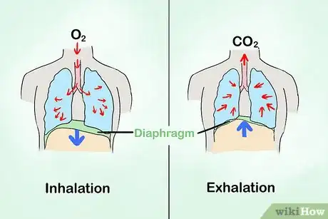 Image titled Develop a Friendly Tone of Voice Step 1