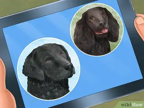 Image titled Adopt a Sporting Dog Step 1