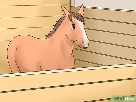 Image titled Handle Hind Leg Problems in Horses Step 6