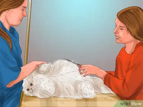 Image titled Find a Professional Cat Groomer Step 8