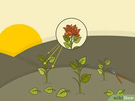 Image titled Prune Dahlias Step 02