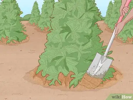 Image titled Start a Tree Farm Step 14