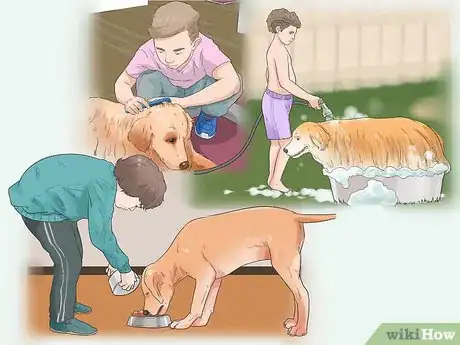 Image titled Keep Kids Interested in Caring for Their New Dog Step 5
