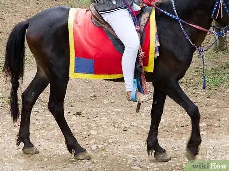 Image titled Behave Around a Horse Step 7
