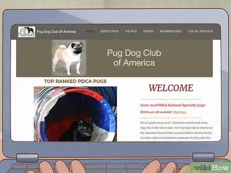 Image titled Choose a Pug Step 14