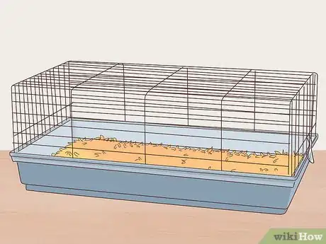 Image titled Care for a Coronet Guinea Pig Step 1