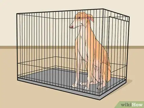 Image titled Identify and Correct Unwanted Dog Behaviors Step 26